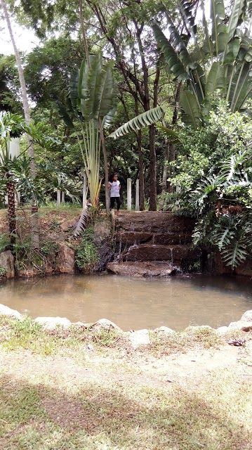 Complexo Parque do Sabia